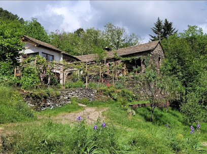 Le Mas Cévenol, Chambre D'hôtes à Saint-Germain-de-Calberte
