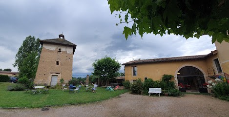 Le Pigeonnier Du Val De Saône, Chambre d'Hôtes à Messimy-sur-Saône