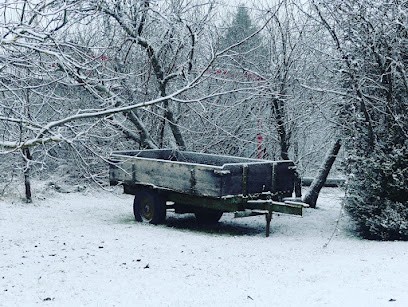 Les jardins du Presbytère, Location de Vacances à Gruey-lès-Surance