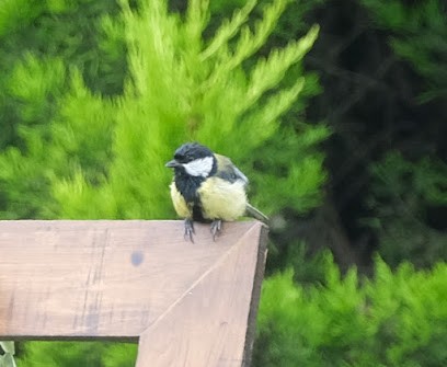 Chambre d’hôtes, Location de Vacances à Faye-l'Abbesse