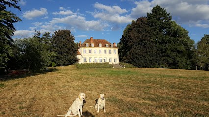Domaine du Château de Marchangy, Chambre d'Hôtes à Saint-Pierre-la-Noaille