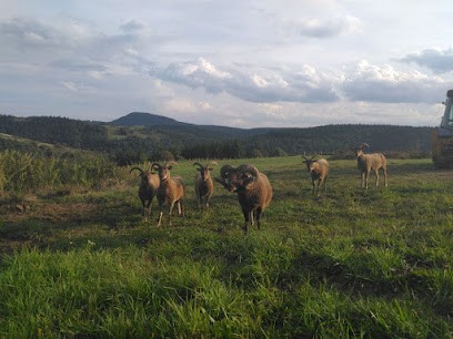 Terra Tauron, Location de Vacances à Cros-de-Géorand