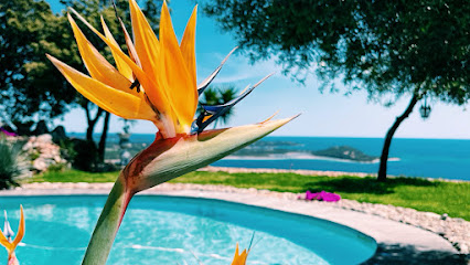 Casa Casita Corsica, Location De Vacances à Porto-Vecchio
