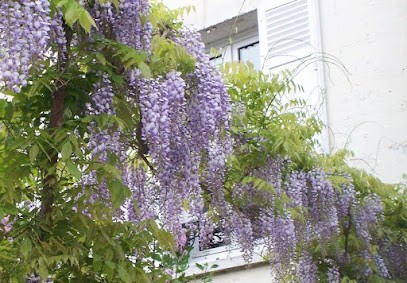 La Martinière, Chambre d'Hôtes à Ivry-la-Bataille