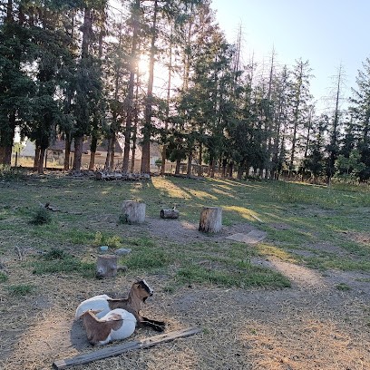 A L'Ombre Des Bois, Chambre d'Hôtes à Neung-sur-Beuvron