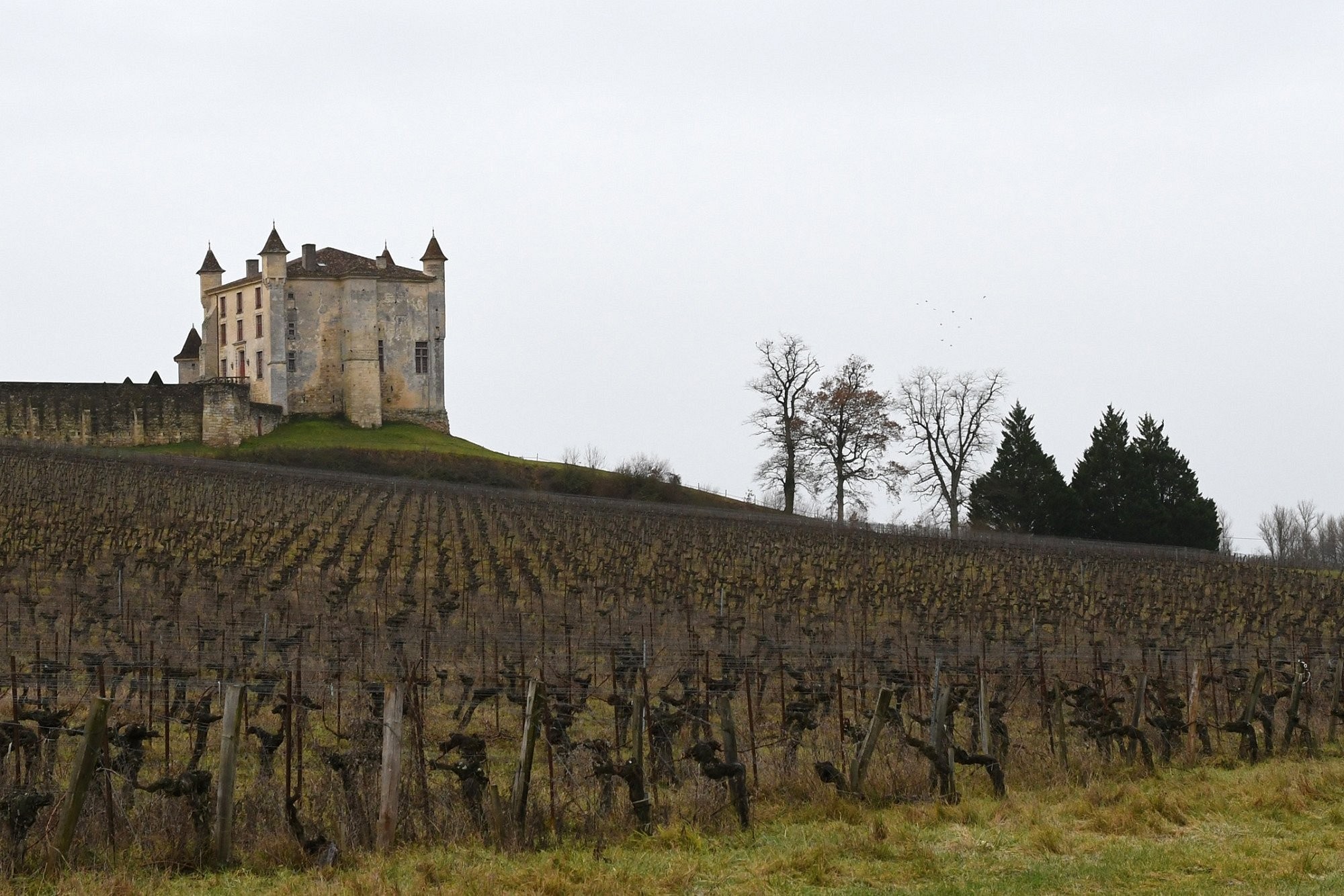 La Maison Des Aurélines, Chambre d'Hôtes à Puisseguin
