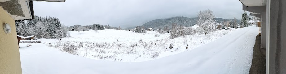 Le Cozy Du Poli, Location de Vacances à Xonrupt-Longemer