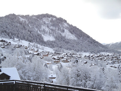 Premat Annick Location De Vacances à Châtel