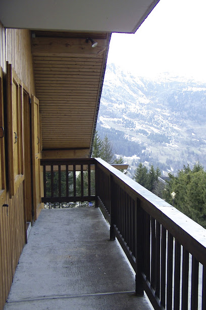 Presles: Location Appartements De Vacances À Meribel 3 Vallées - Holiday Apartement Rental Location De Vacances aux Allues