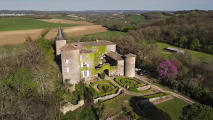 Château De Montcuquet, Chambre D'hôtes à Lautrec