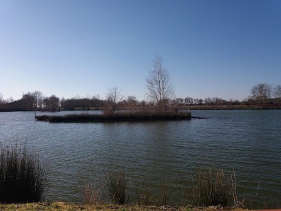 Chambres d'hôte de Cluny, Chambre d'Hôtes à Mazères