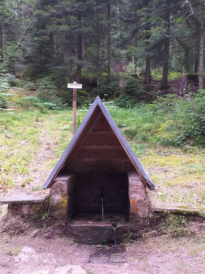 Le Vallon, Maison d'Hôtes à Orbey