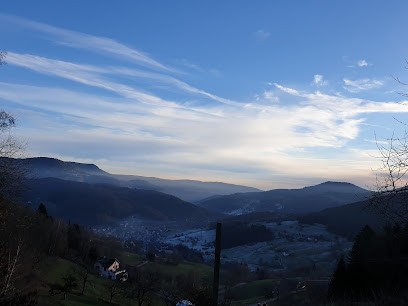 Desaga Hubert, Chambre d'Hôtes à Lapoutroie