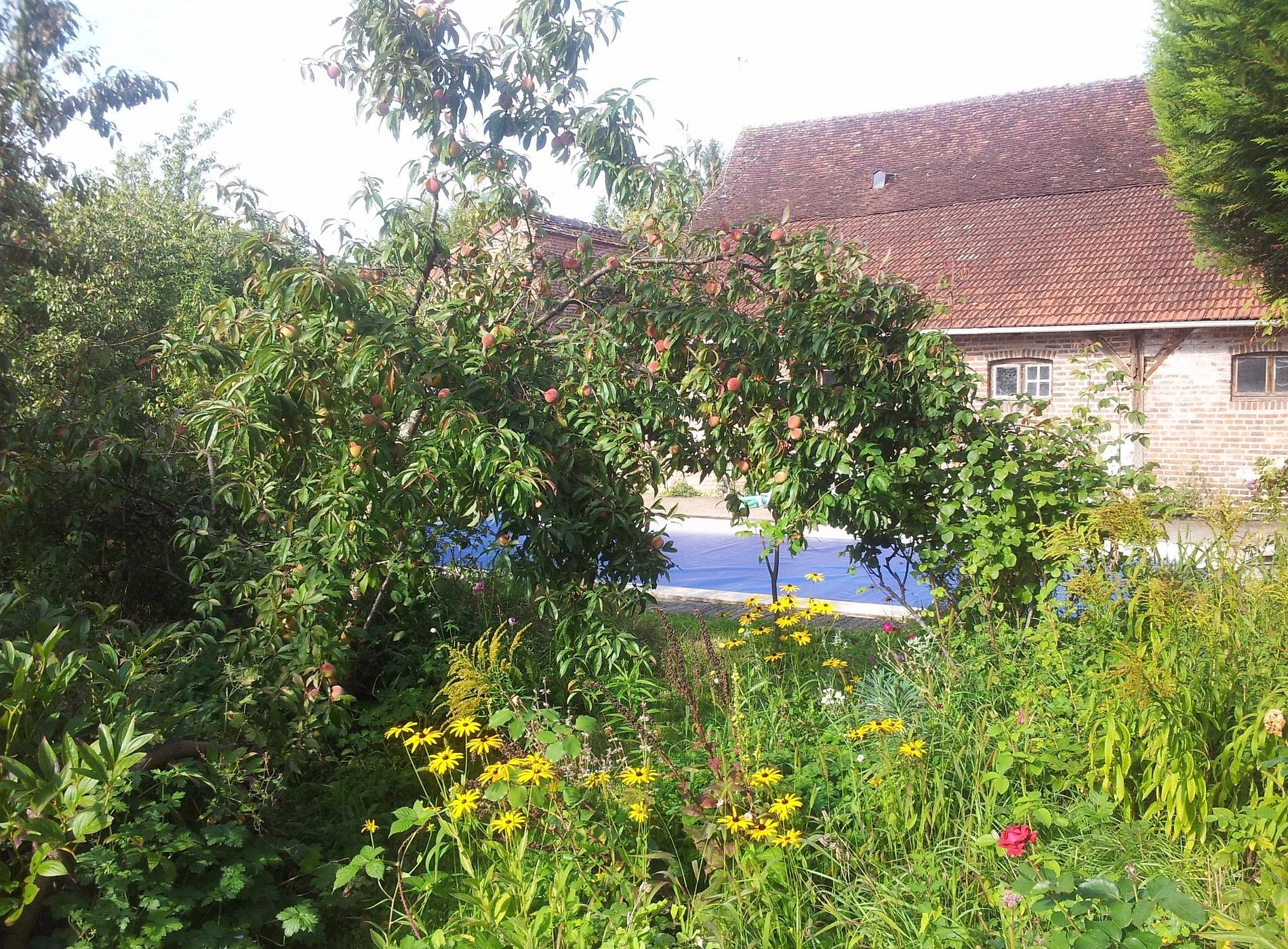 La Distillerie, Chambre d'Hôtes à Saint-Germain-du-Bois