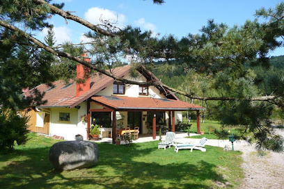 Gîte Bellevue Location De Vacances au Tholy