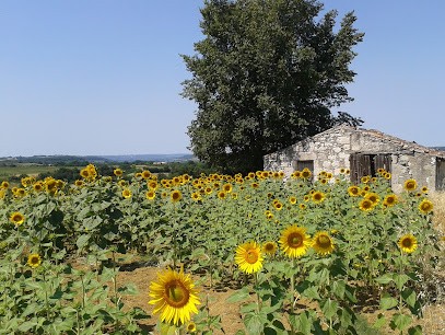 Espeye, Gîtes & Camping, Location de Vacances à Saint-Urcisse