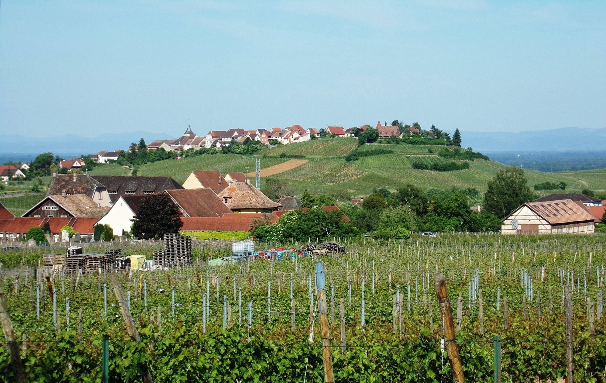 Chambres D'hotes Du Vignoble, Chambre d'Hôtes à Riquewihr