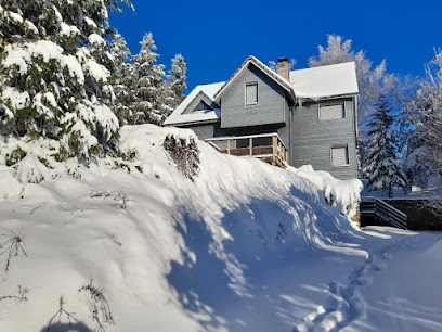 Chalet Les Six Ters, Location De Vacances à Murat-le-Quaire