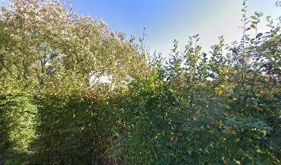 gites saint pabu, Location de Vacances à Saint-Pabu