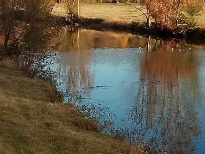 Chateau de Roches, Chambre d'Hôtes à Roches-Bettaincourt