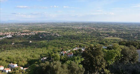 La casa de l'òliba, Location de Vacances à Laroque-des-Albères