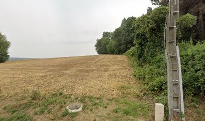 Harmand Virginie, Chambre d'Hôtes à Nerville-la-Forêt