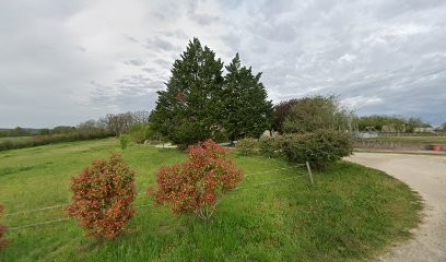 Gîtes des Cèdres, Location de Vacances à Tournon-d'Agenais