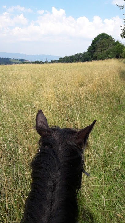 CHALET L'EVASION, Location de Vacances à Viuz-en-Sallaz