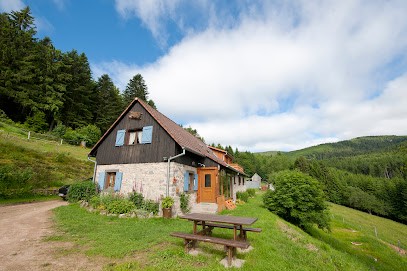 Domaine-Du-Waesle, Location de Vacances à Soultzeren