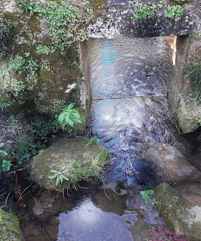 Relais Aux Anons, Location de Vacances à Mervent