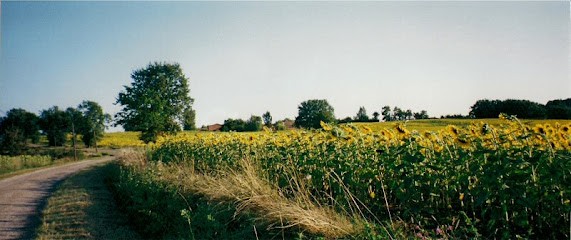 La Corraliere Chambres D'Hôtes, Chambre d'Hôtes à Nègrepelisse