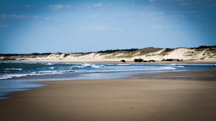Aquitaine Studios - La Morandière, Location De Vacances à Grayan-et-l'Hôpital