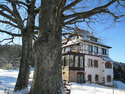 Les Logis Du Haut-Koenigsbourg Location De Vacances à Orschwiller