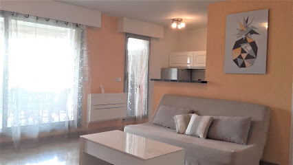 Appartement Les Palmiers - Vacances Cote D'azur Location De Vacances à Cannes