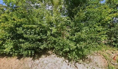 Chez Valérie et Henri, Chambre d'Hôtes à Plourivo
