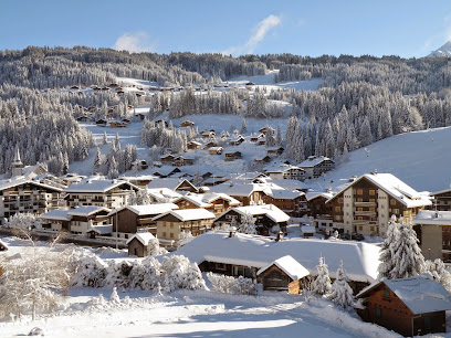 Chalet La Sapinière, Location De Vacances aux Gets