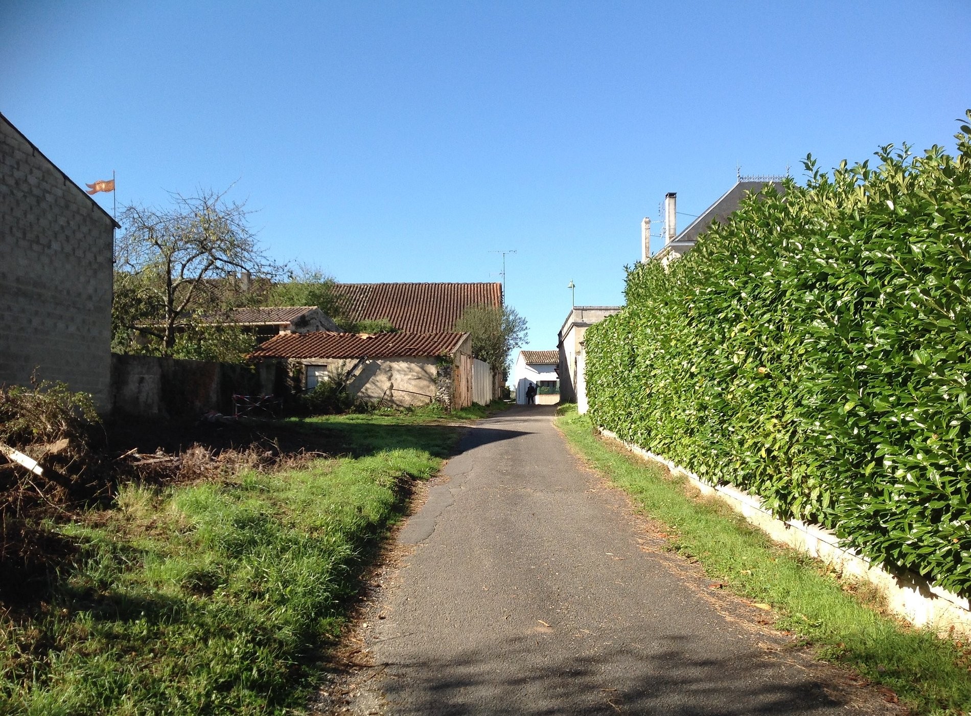 Le Cormier de l'Estuaire, Chambre d'Hôtes à Saint-Aubin-de-Blaye