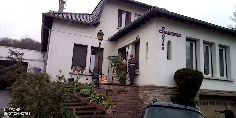 Maison d'hôtes - Borisov, Chambre d'Hôtes à Cravanche