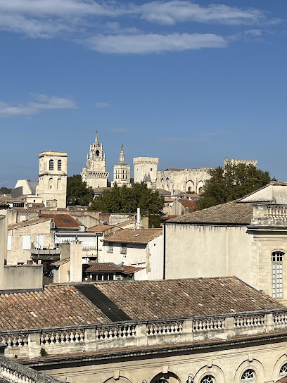 A La Terrasse D'avignon Location De Vacances à Avignon