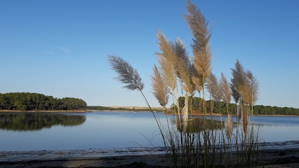 Location Vacances Vieux-Boucau - Soustons : Village Club Dunea, Location de Vacances à Soustons