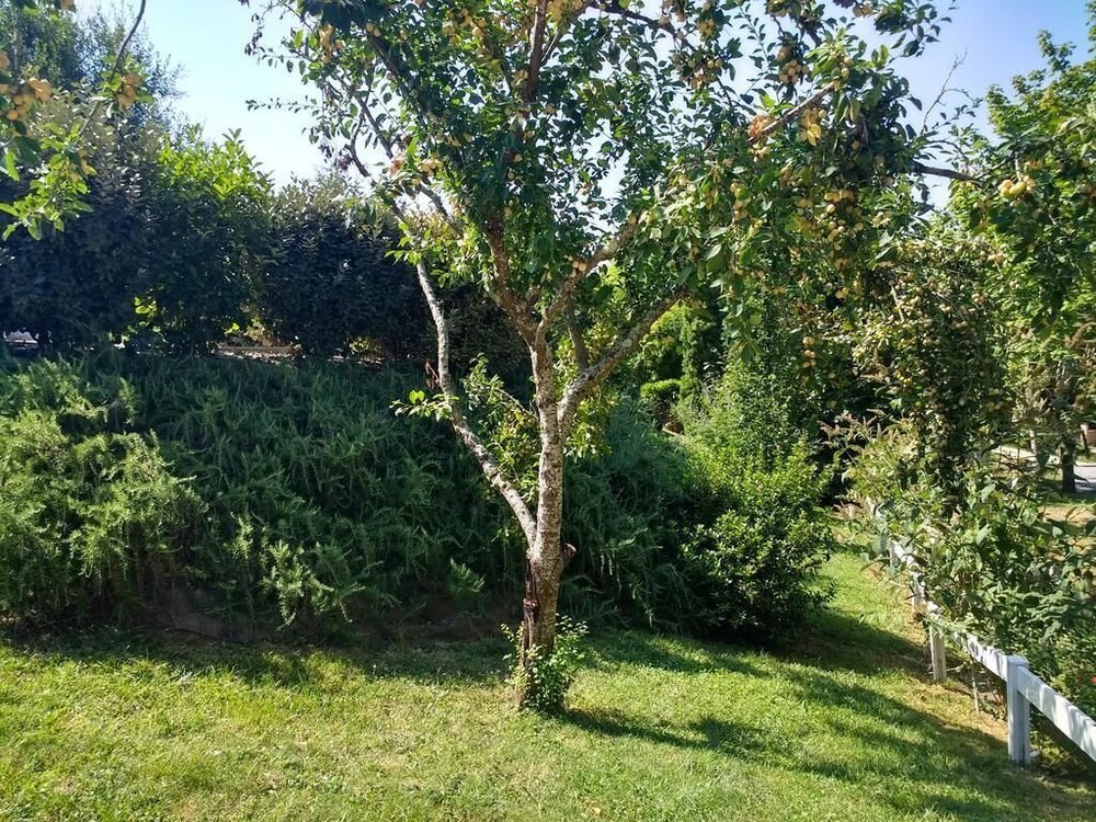 Villa Terrefort, Chambre d'Hôtes à Drémil-Lafage