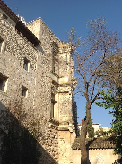 Chez Loubet, dans la cour de l'ancien château d'Escalin, Maison d'Hôtes à La Garde-Adhémar