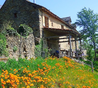 La Vie au Grand Vert, Chambre d'Hôtes à Saint-André-de-Najac