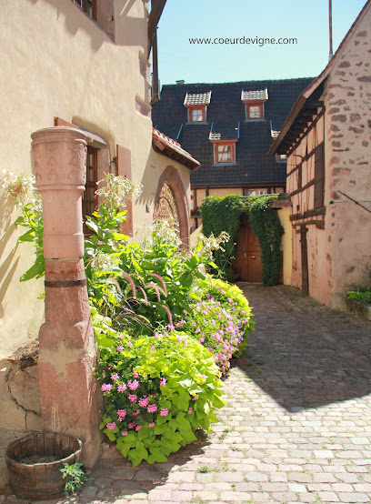 Les Gîtes Cœur De Vigne, Location De Vacances à Riquewihr