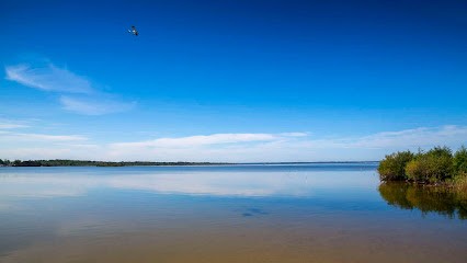 Les Cabanes Des Pins, Location de Vacances à Sainte-Eulalie-en-Born