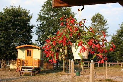 LA BOURDETTE, Chambre d'Hôtes à Rion-des-Landes