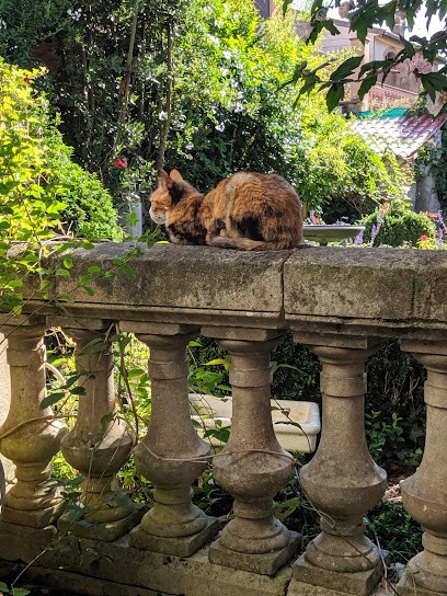 Chambres D'hotes Villa Albertine à Mirepoix, Chambre d'Hôtes à Mirepoix