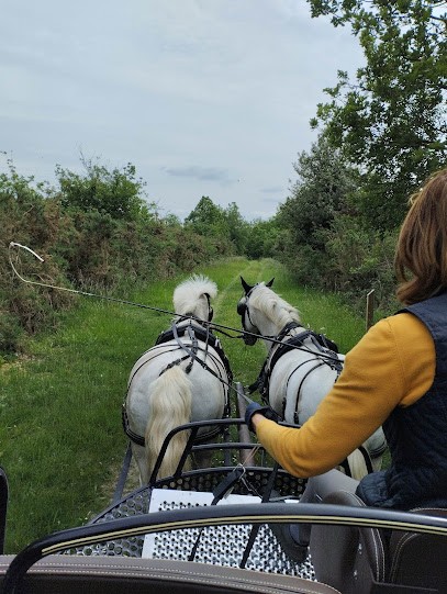 Chez Elisa, Chambre d'Hôtes à Chinon