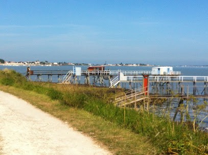Les Ormeaux - Chambres d'hôtes, Chambre d'Hôtes à Saint-Laurent-de-la-Prée