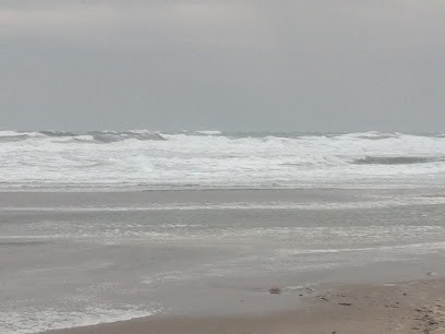 SCI CMR, Location de Vacances à Saintes-Maries-de-la-Mer